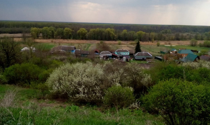 «На крепкой семье держится государство»